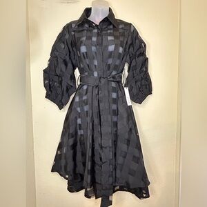 Sheer Button up Dress